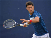 The Djokovic Dominator: A Quiz on Tennis Superstar Novak Djokovic