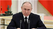 Putin Chronicles: Unraveling the Enigma of Russia